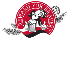 Camel Beer